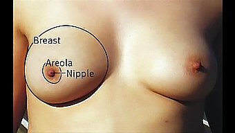 Compilación De Diferentes Tipos De Tetas Grandes