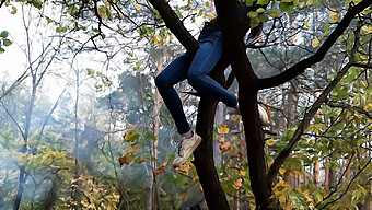 Kecantikan Berambut Coklat Menghisap Di Tempat Awam Semasa Memanjat Pokok