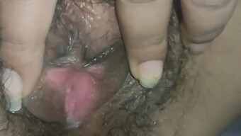 Desi Bhabhi Tiene Su Coño Dedado Y Follado En Un Porno Casero